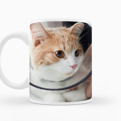 Caneca Pet Gato